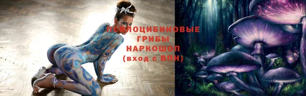 мяу мяу мука Арсеньев
