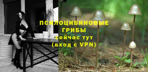 мяу мяу мука Арсеньев