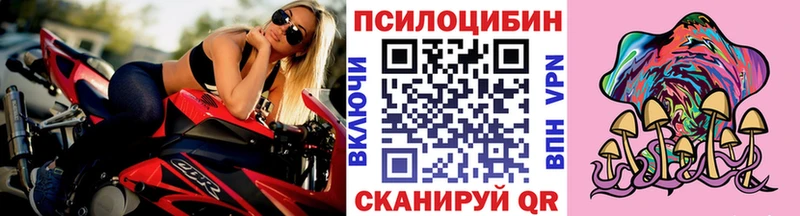 Галлюциногенные грибы GOLDEN TEACHER  магазин продажи наркотиков  Новоузенск 